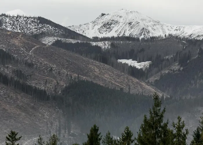 Apartman Twoja Pod Niebem Zarezerwuj Na Podhalami Pl